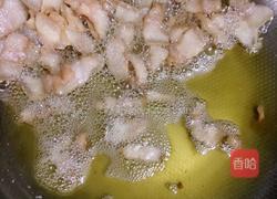 家常小炒肉的做法图解6