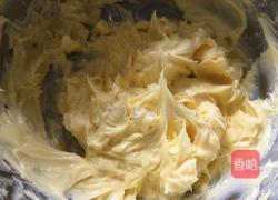 巧克力曲奇的做法图解5