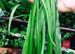 蒸金针菇的做法图解3