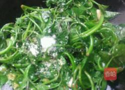 辣炒苕藤尖的做法图解6
