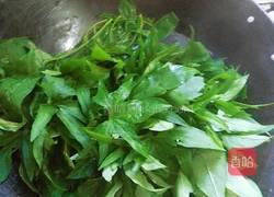 腐乳番薯叶的做法图解4