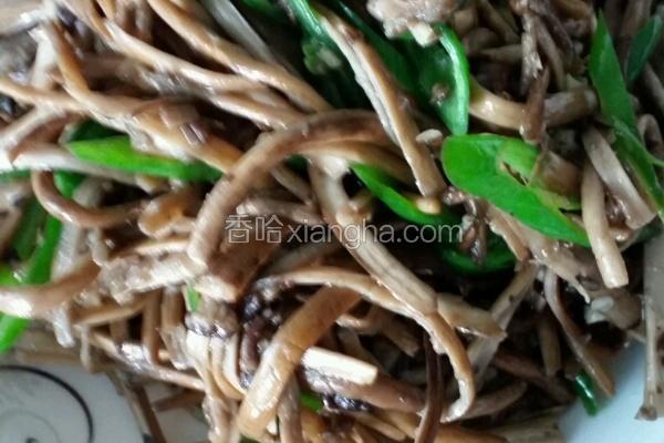 青椒茶树菇