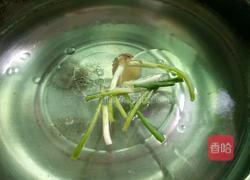 白灼大虾的做法图解2