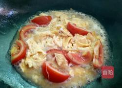 番茄炒鸭蛋的做法图解5