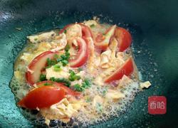 番茄炒鸭蛋的做法图解7