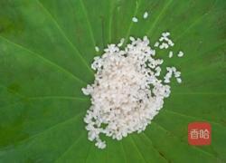 荷叶饭的做法图解1