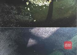 一人食雜料炒飯的做法图解3