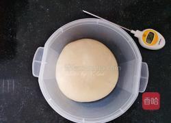 小兔子香肠面包的做法图解3