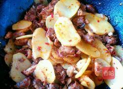 干锅鸡的做法图解12