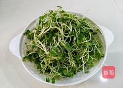 红辣椒拌萝卜苗的做法图解1