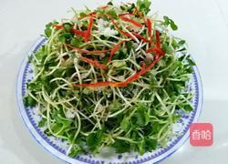 红辣椒拌萝卜苗的做法图解5