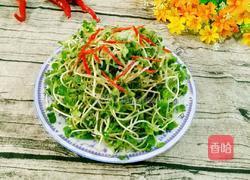 红辣椒拌萝卜苗的做法图解6