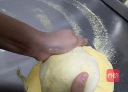 专业榴莲披萨的做法图解5