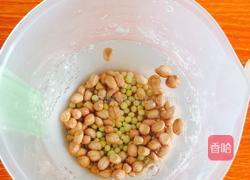 花生豆浆的做法图解2