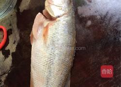 鲈鱼的做法图解1