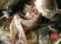 鱼头青椒的做法图解4