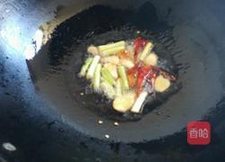 红烧羊肉胡萝卜的做法图解8