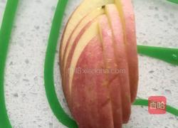 准备起飞的红天鹅的做法图解6