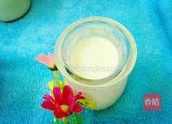 水果酸奶冻的做法图解1