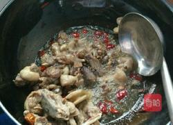 子姜焖鸭的做法图解3