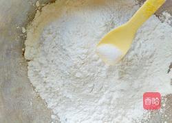 水晶虾饺的做法图解6