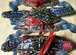 姜葱炒花蟹的做法图解1