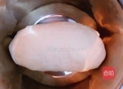 猪肉茴香饺子的做法图解1