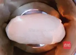 Illustration of how to make pork and fennel dumplings 1