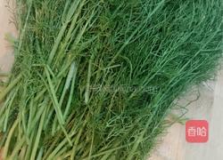 猪肉茴香饺子的做法图解2