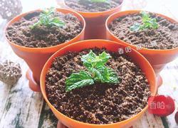 盆栽蛋糕的做法图解7