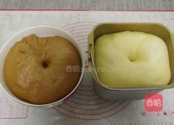 双色吐司面包的做法图解5