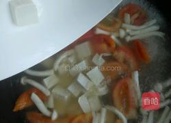番茄豆腐汤的做法图解6