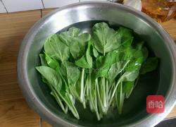 清炒小白菜的做法图解2