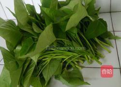 凉拌红薯叶的做法图解1