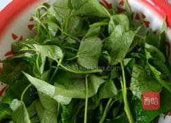 凉拌红薯叶的做法图解2