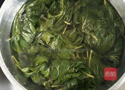 凉拌苏叶的做法图解6