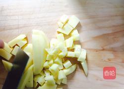 土豆咖喱鸡的做法图解4