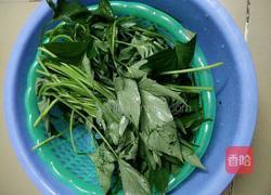蒜蓉红薯叶的做法图解3