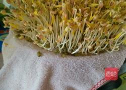 自己种的绿豆牙菜的做法图解7
