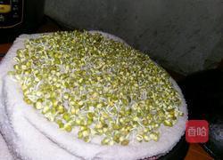 自己种的绿豆牙菜的做法图解4