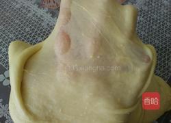 鸡肉披萨的做法图解3