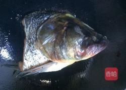 豆参煮鱼头的做法图解5