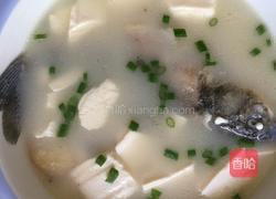 鲫鱼汤的做法图解5