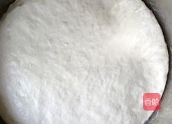 苋菜猪肉水饺的做法图解1