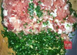 苋菜猪肉包子的做法图解3