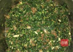 苋菜猪肉水饺的做法图解4