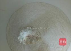 猪肉豆腐丸的做法图解6