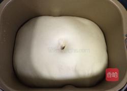 汉堡胚(中种法)的做法图解8