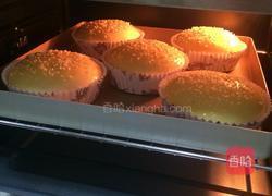 汉堡胚(中种法)的做法图解13