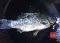 鲫鱼菌菇汤的做法图解4